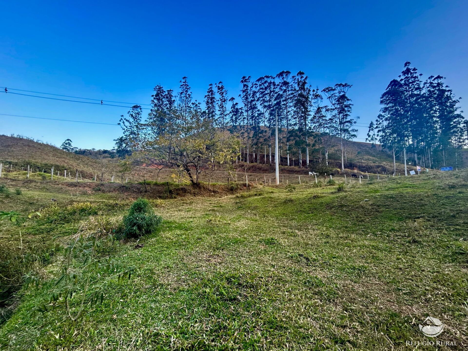 Terreno, 10 hectares - Foto 4
