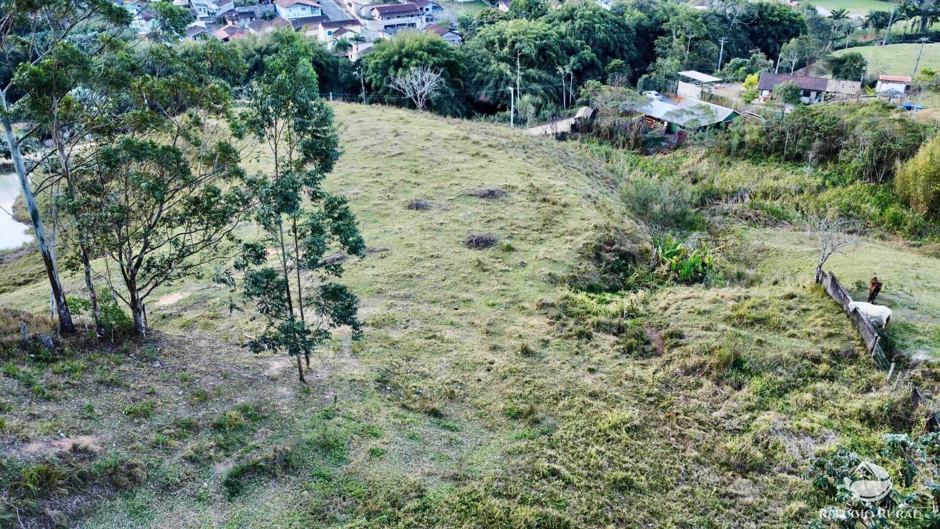 Terreno, 10 hectares - Foto 34