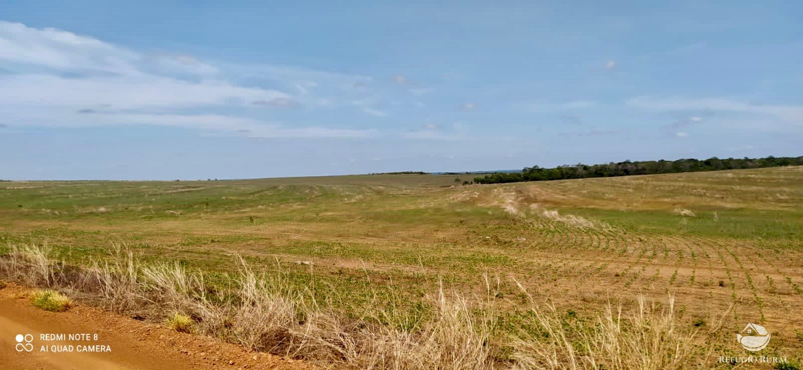 Fazenda para alugar com 1 quarto, 70000000m² - Foto 3