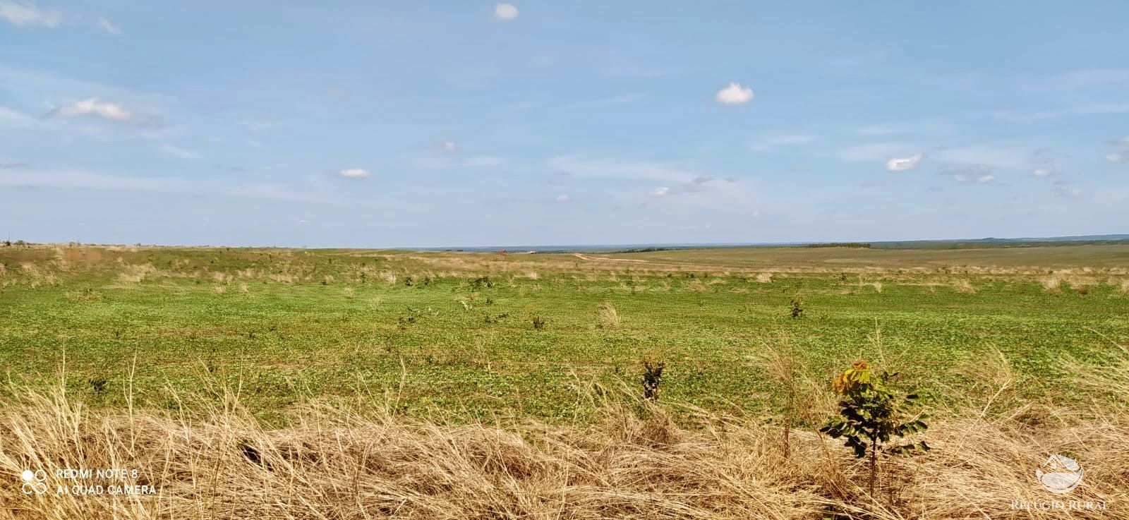 Fazenda para alugar com 1 quarto, 70000000m² - Foto 5