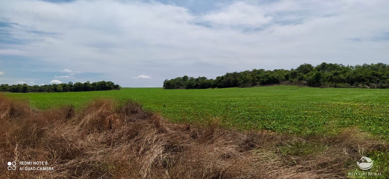 Fazenda para alugar com 1 quarto, 70000000m² - Foto 2