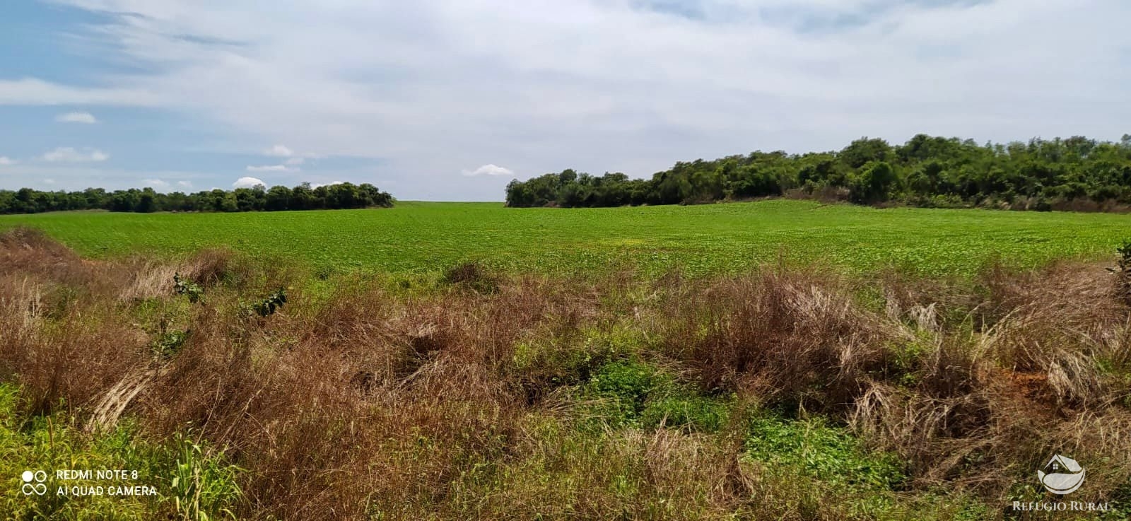 Fazenda para alugar com 1 quarto, 70000000m² - Foto 4