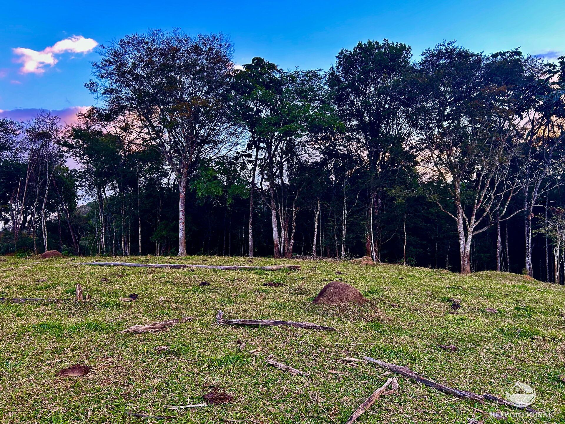 Sítio à venda com 1 quarto, 701800m² - Foto 33