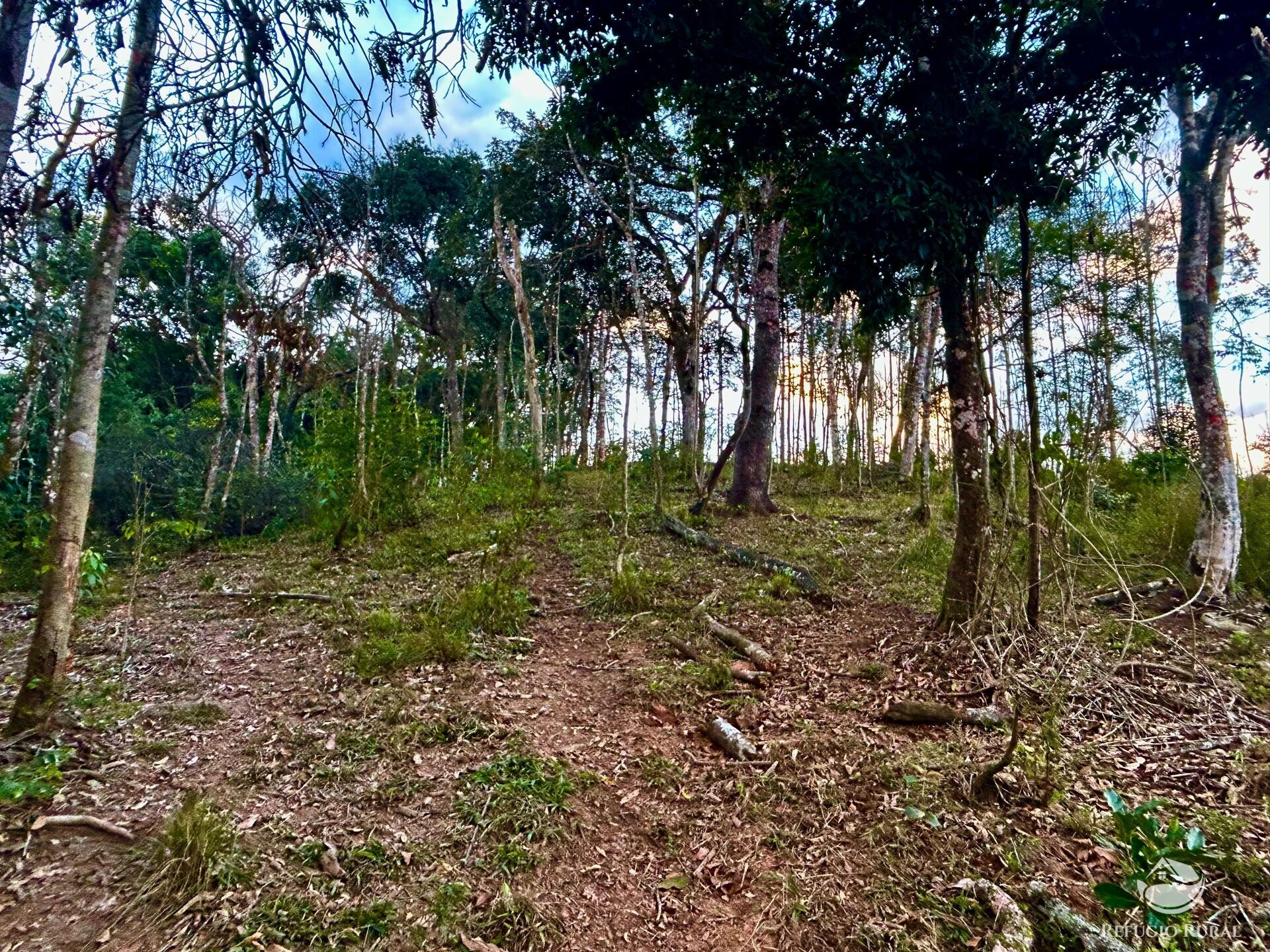 Sítio à venda com 1 quarto, 701800m² - Foto 44