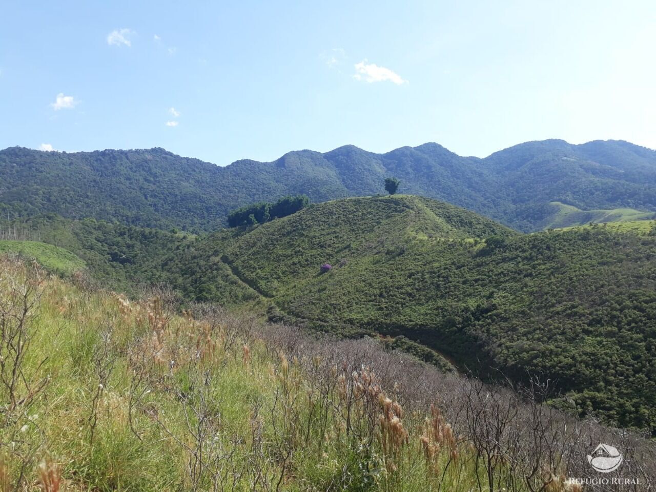 Fazenda à venda com 1 quarto, 701800m² - Foto 6