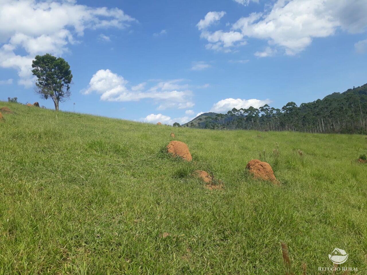 Fazenda à venda com 1 quarto, 701800m² - Foto 4