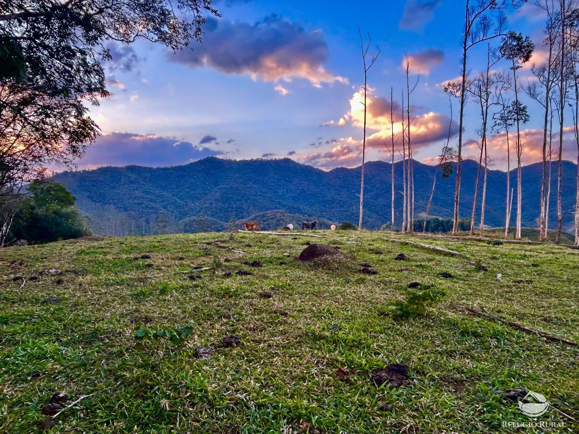 Sítio à venda com 1 quarto, 701800m² - Foto 18