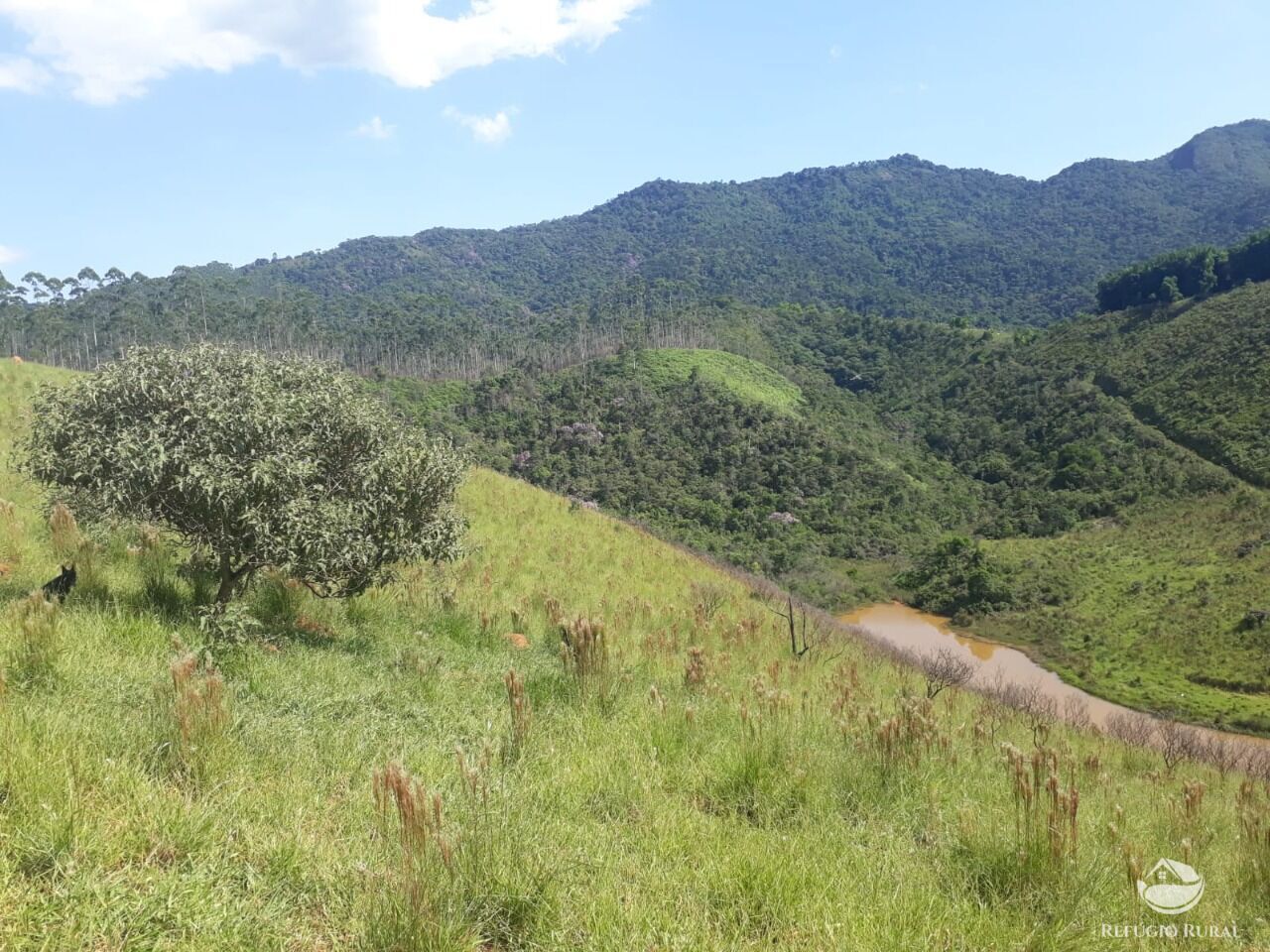 Fazenda à venda com 1 quarto, 701800m² - Foto 5