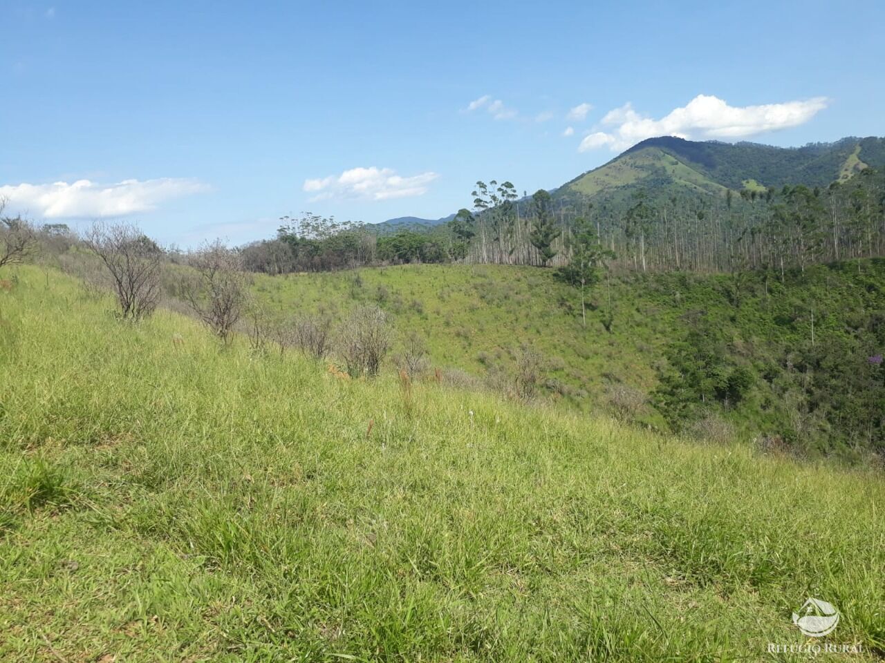 Fazenda à venda com 1 quarto, 701800m² - Foto 50