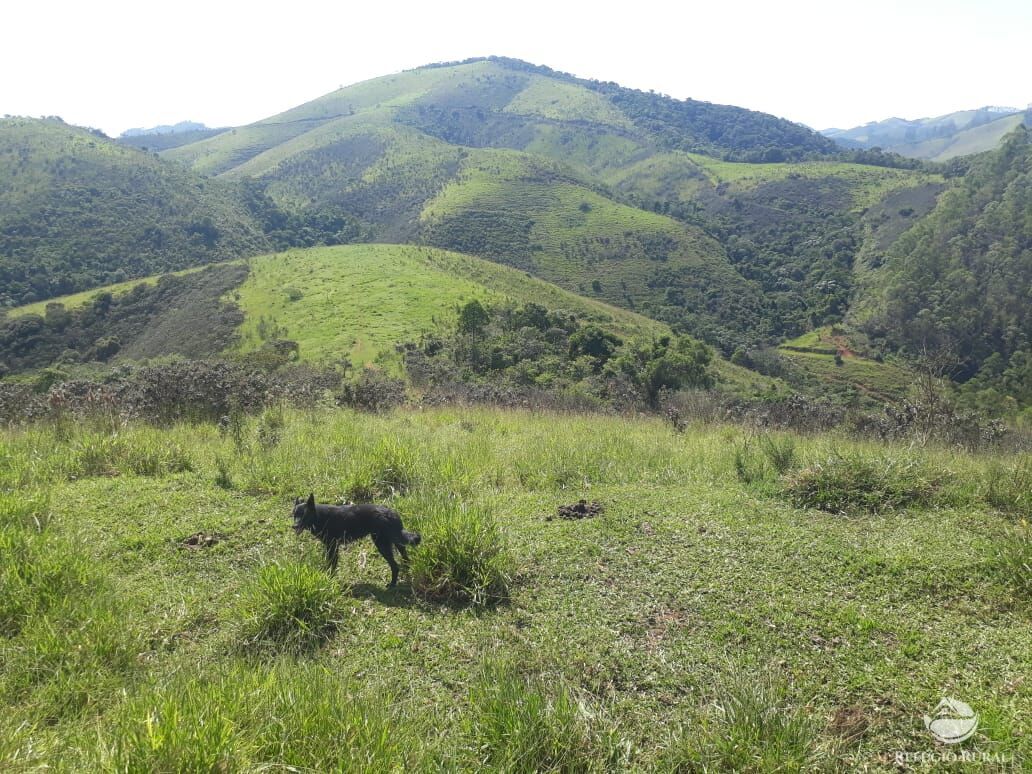 Fazenda à venda com 1 quarto, 701800m² - Foto 34