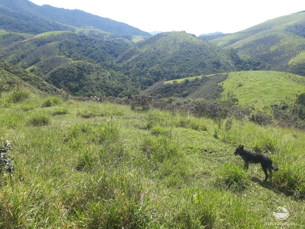 Fazenda à venda com 1 quarto, 701800m² - Foto 33