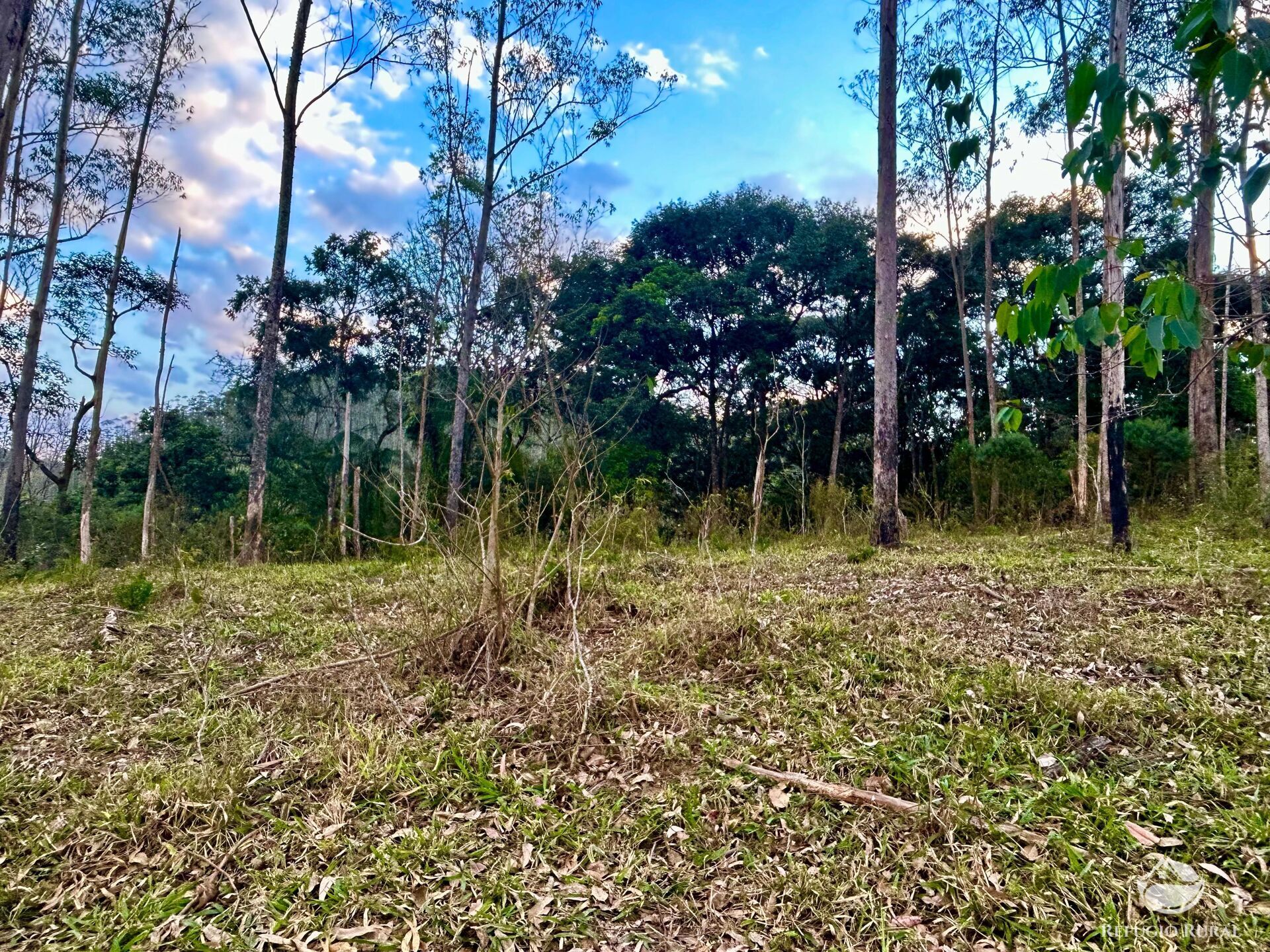 Sítio à venda com 1 quarto, 701800m² - Foto 32
