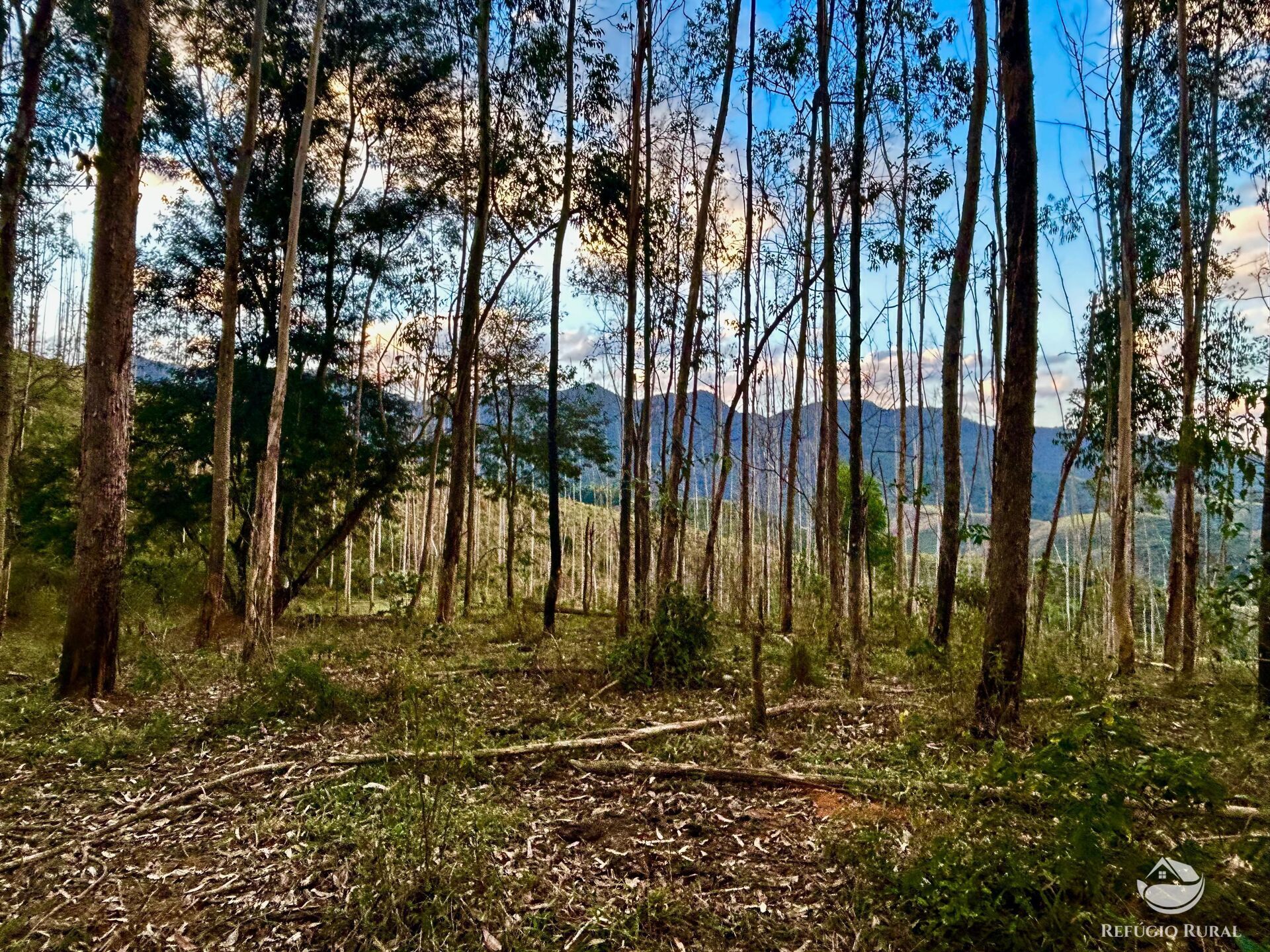 Sítio à venda com 1 quarto, 701800m² - Foto 23