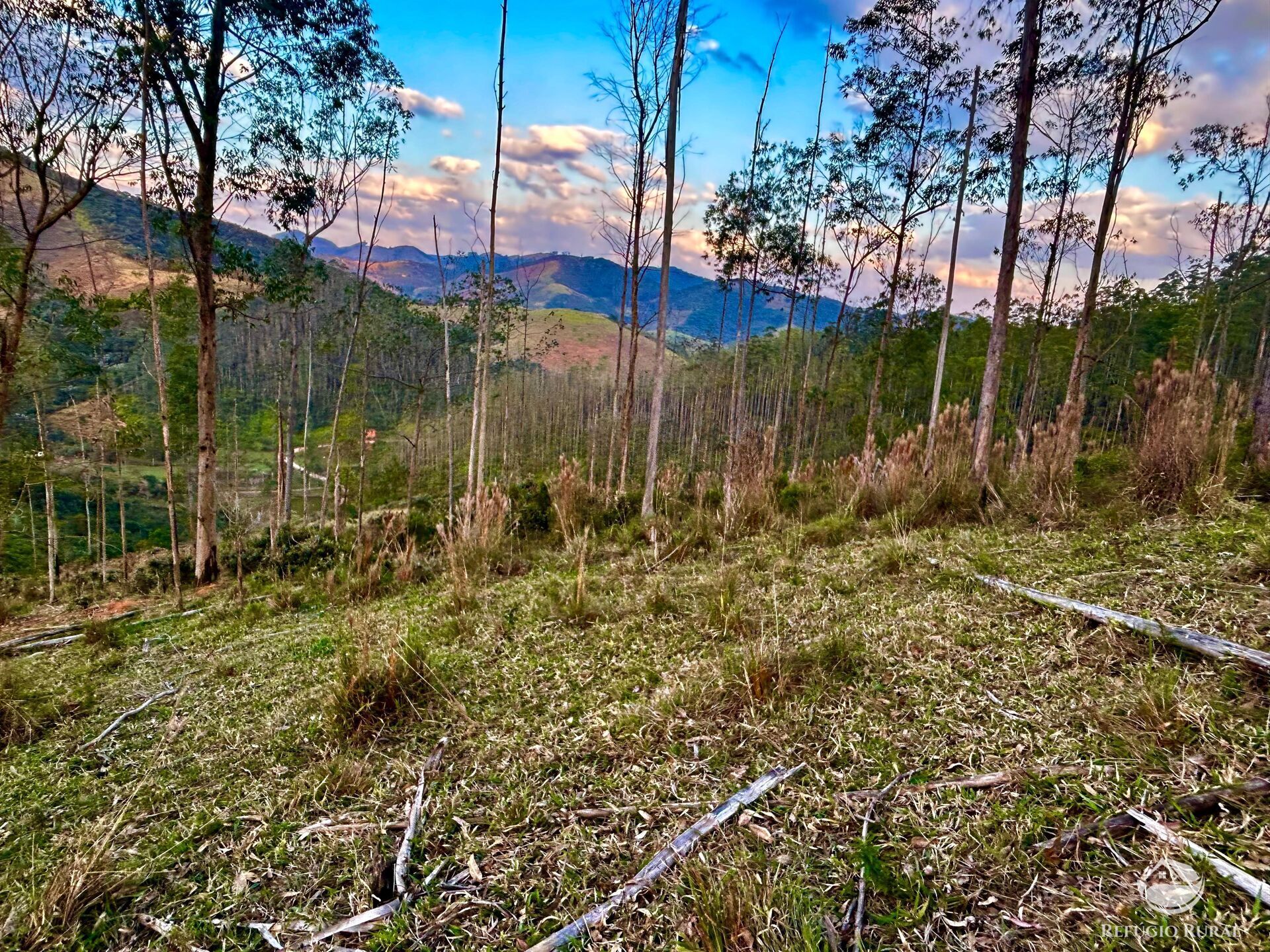 Sítio à venda com 1 quarto, 701800m² - Foto 17