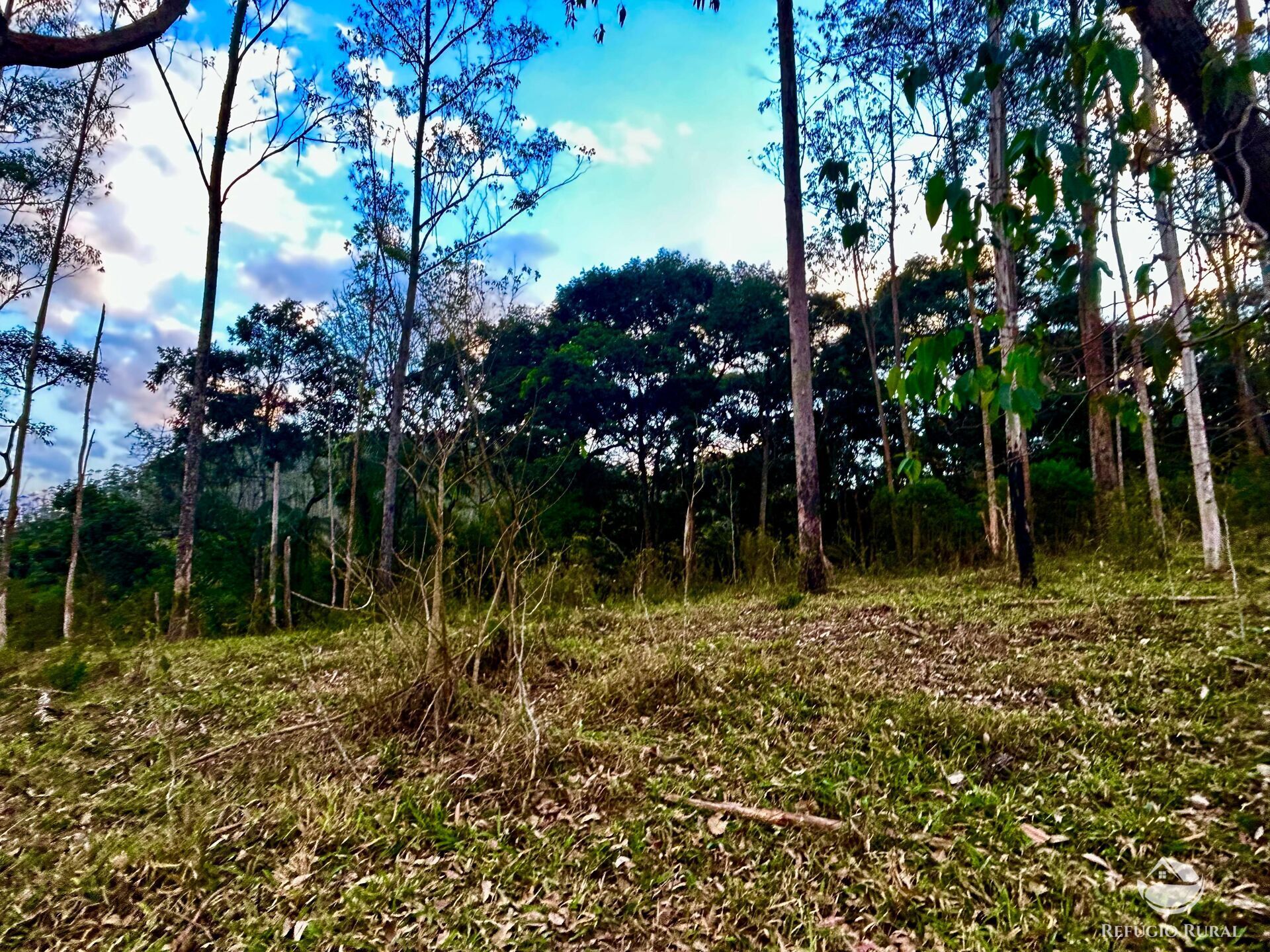 Sítio à venda com 1 quarto, 701800m² - Foto 48