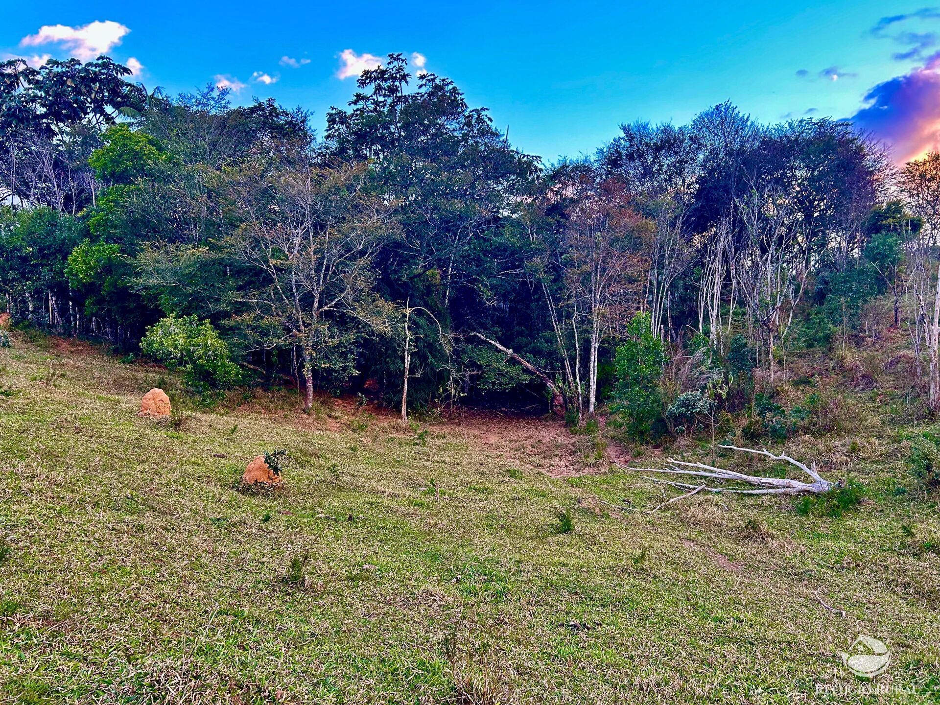 Sítio à venda com 1 quarto, 701800m² - Foto 43