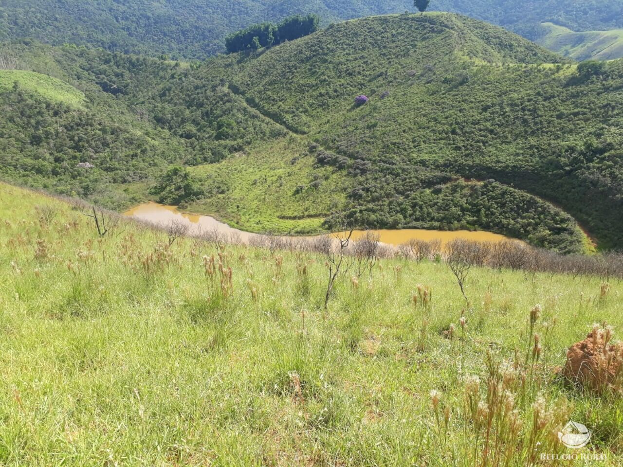 Fazenda à venda com 1 quarto, 701800m² - Foto 9