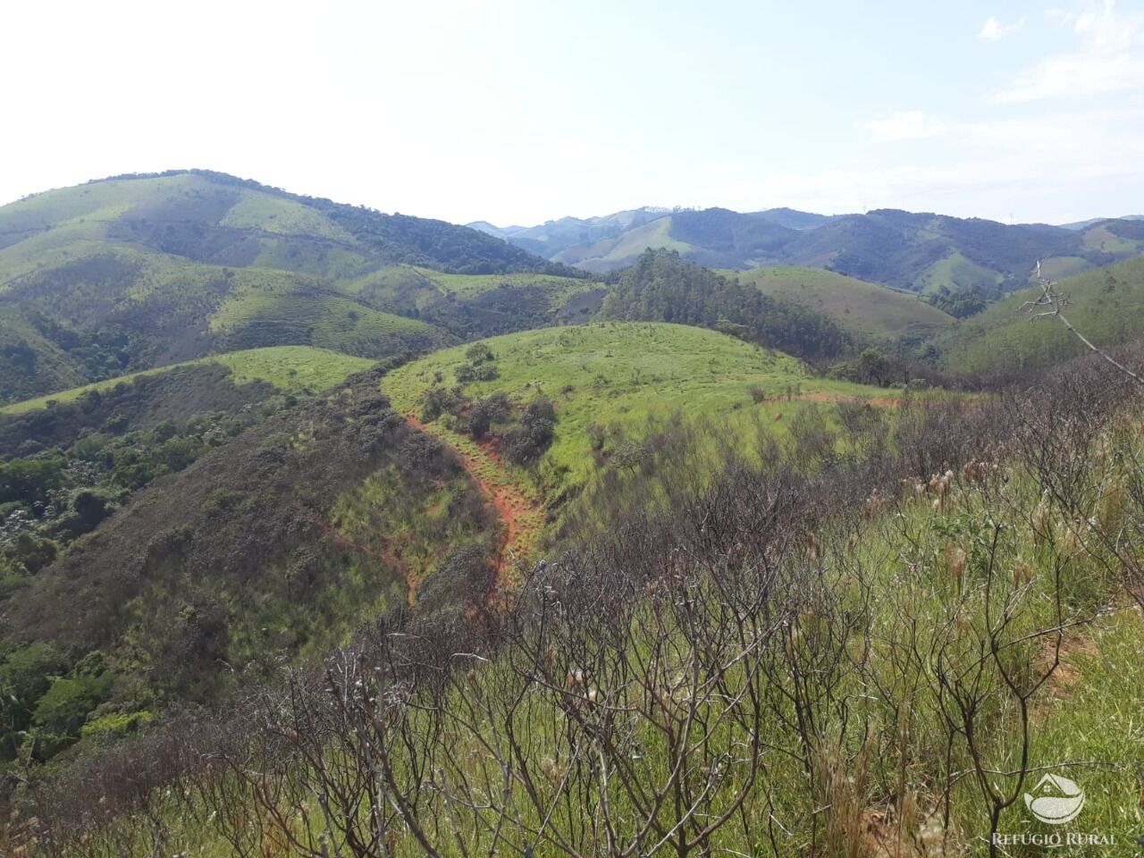 Fazenda à venda com 1 quarto, 701800m² - Foto 10