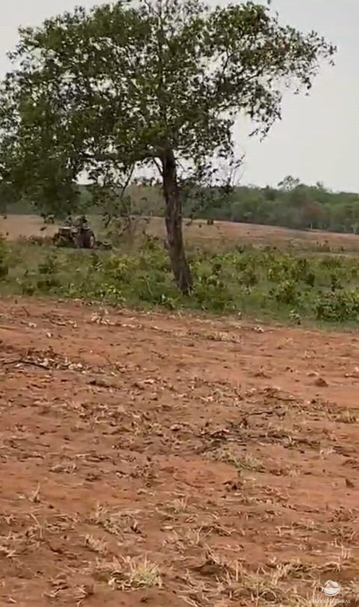 Fazenda à venda com 2 quartos, 12510000m² - Foto 5