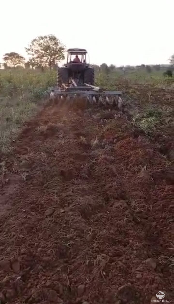 Fazenda à venda com 2 quartos, 12510000m² - Foto 7