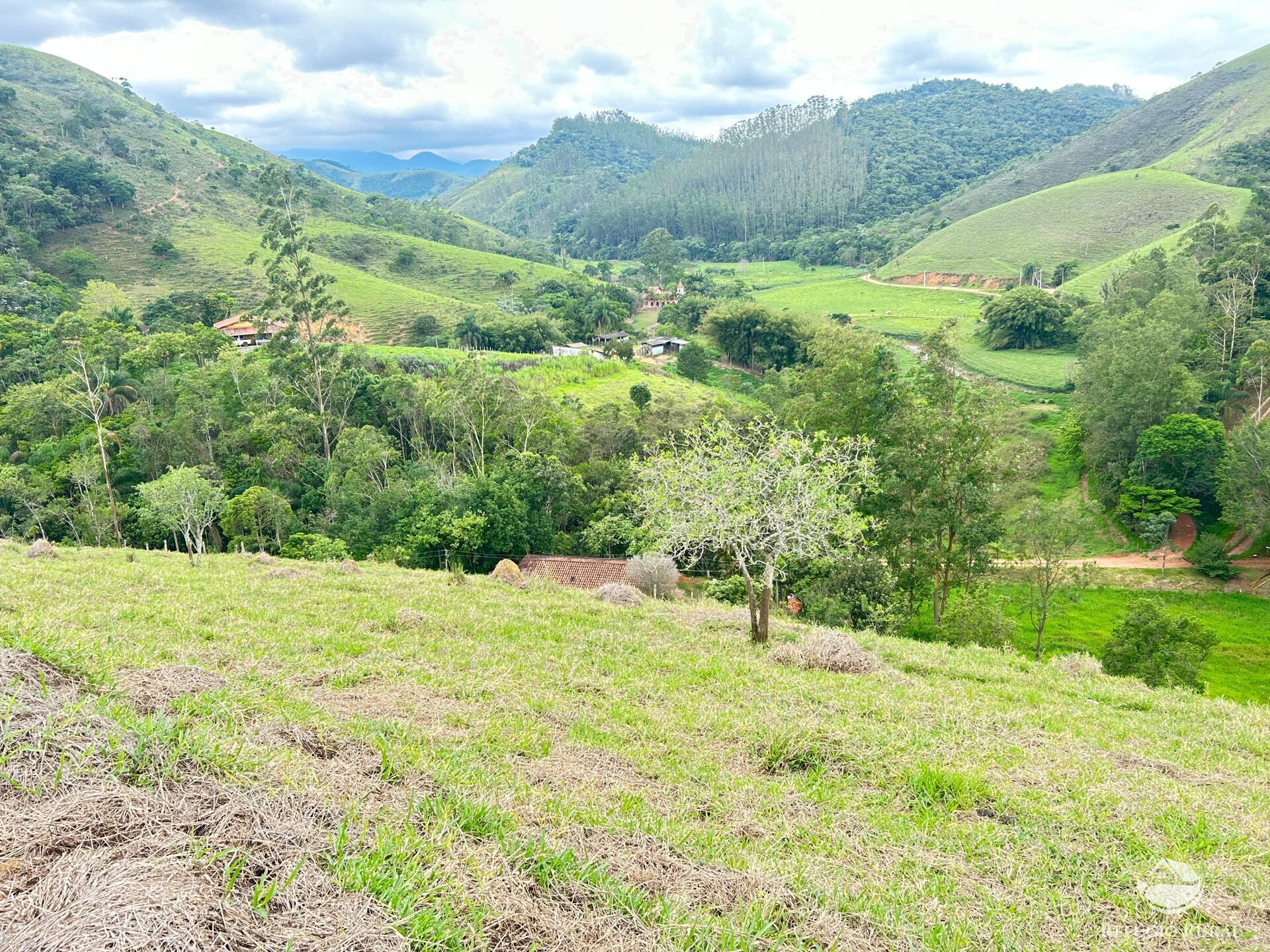 Fazenda à venda com 1 quarto, 20000m² - Foto 7