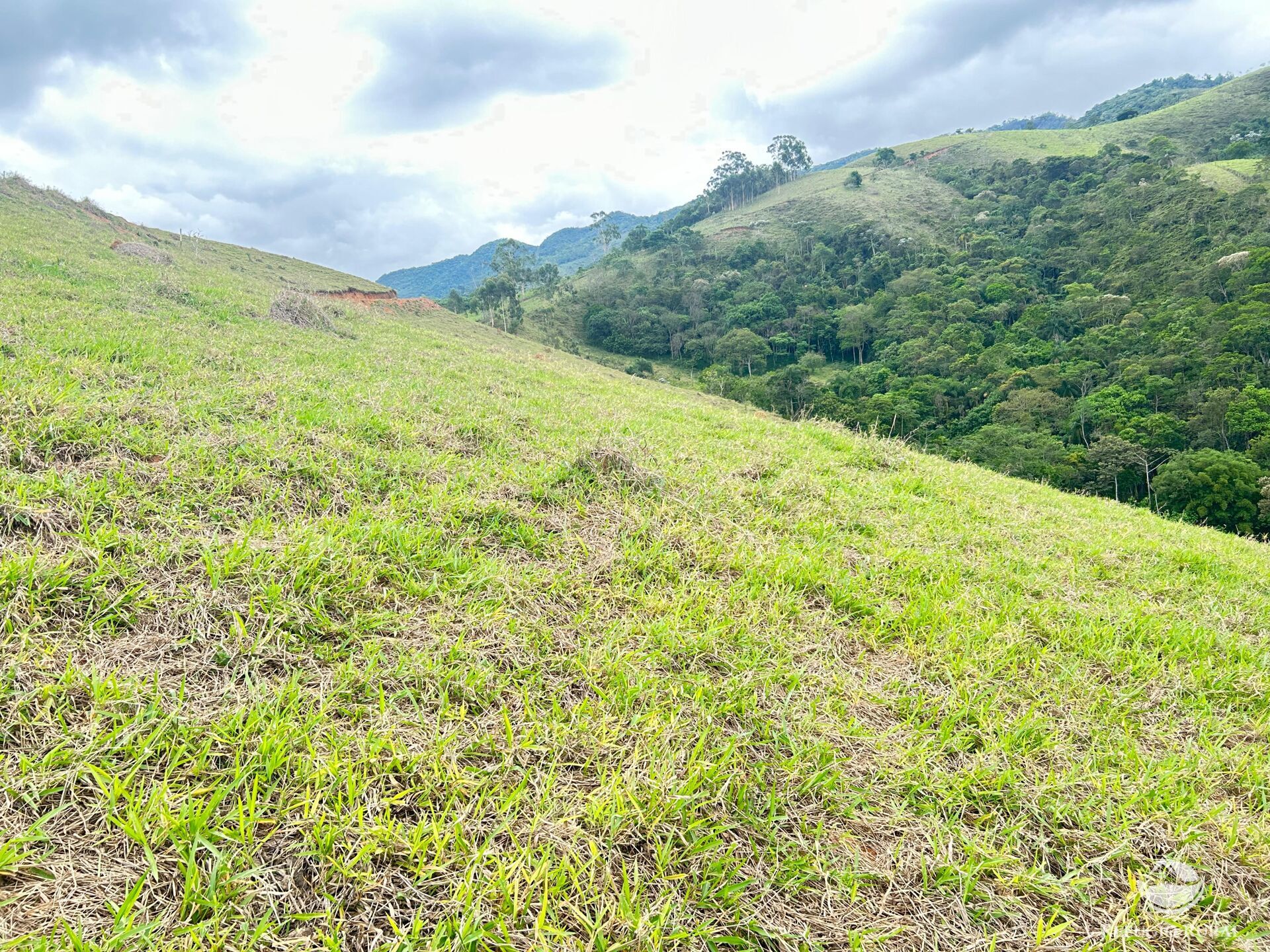 Fazenda à venda com 1 quarto, 20000m² - Foto 10