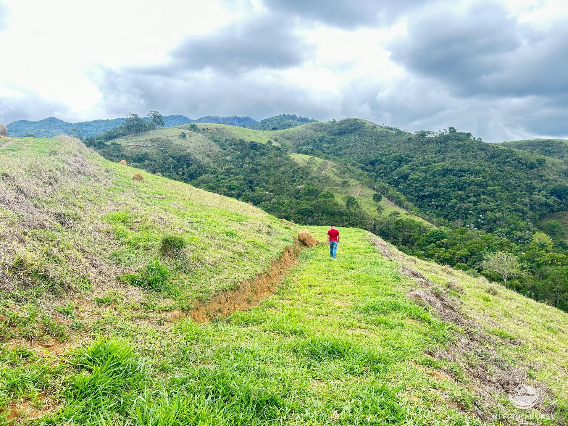 Fazenda à venda com 1 quarto, 20000m² - Foto 3