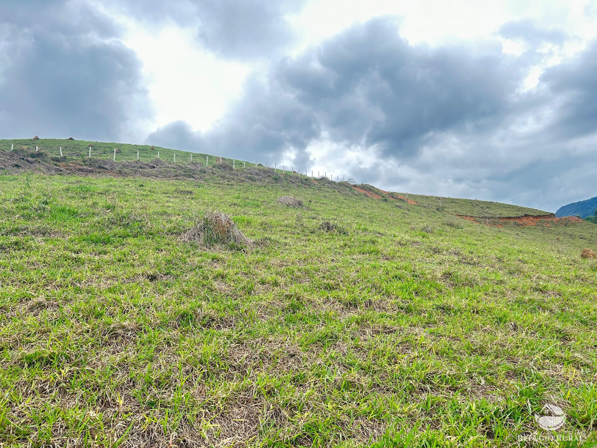 Fazenda à venda com 1 quarto, 20000m² - Foto 11