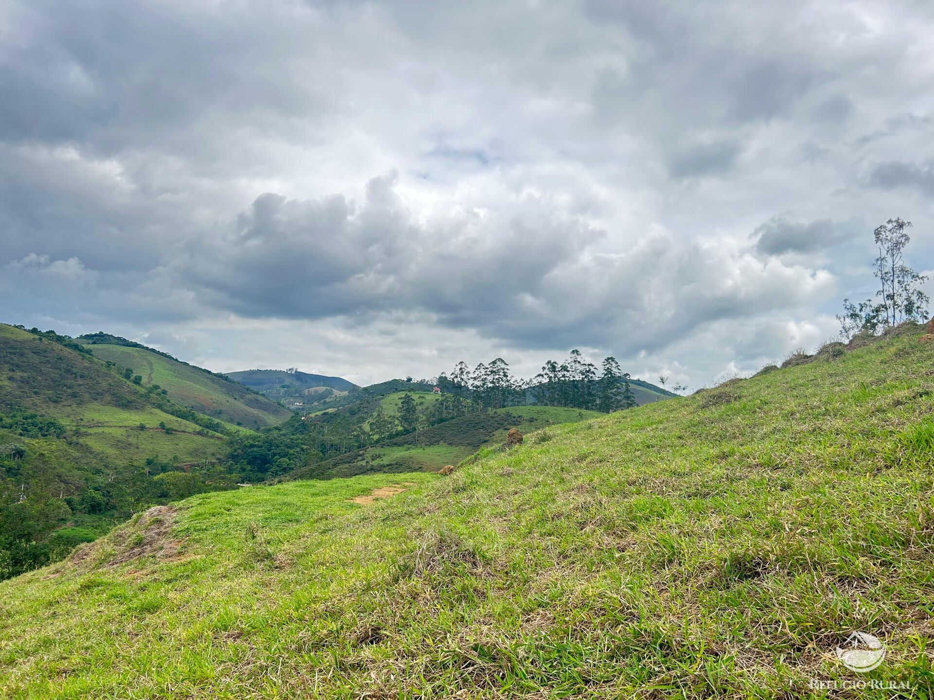 Fazenda à venda com 1 quarto, 20000m² - Foto 12