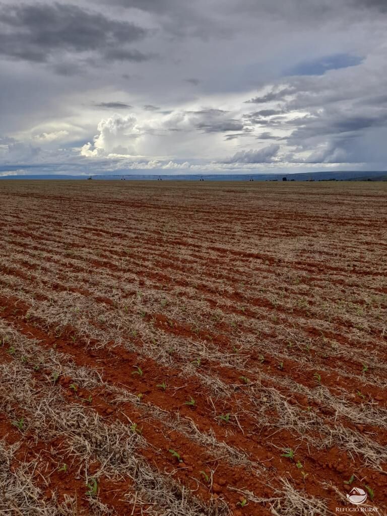 Fazenda à venda com 2 quartos, 20300000m² - Foto 1