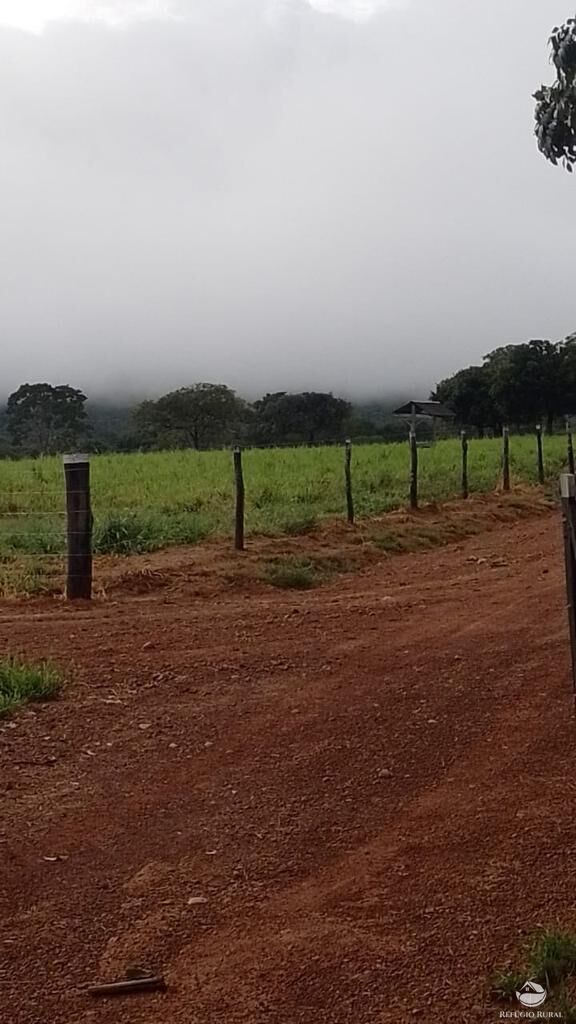 Fazenda à venda com 2 quartos, 20300000m² - Foto 2