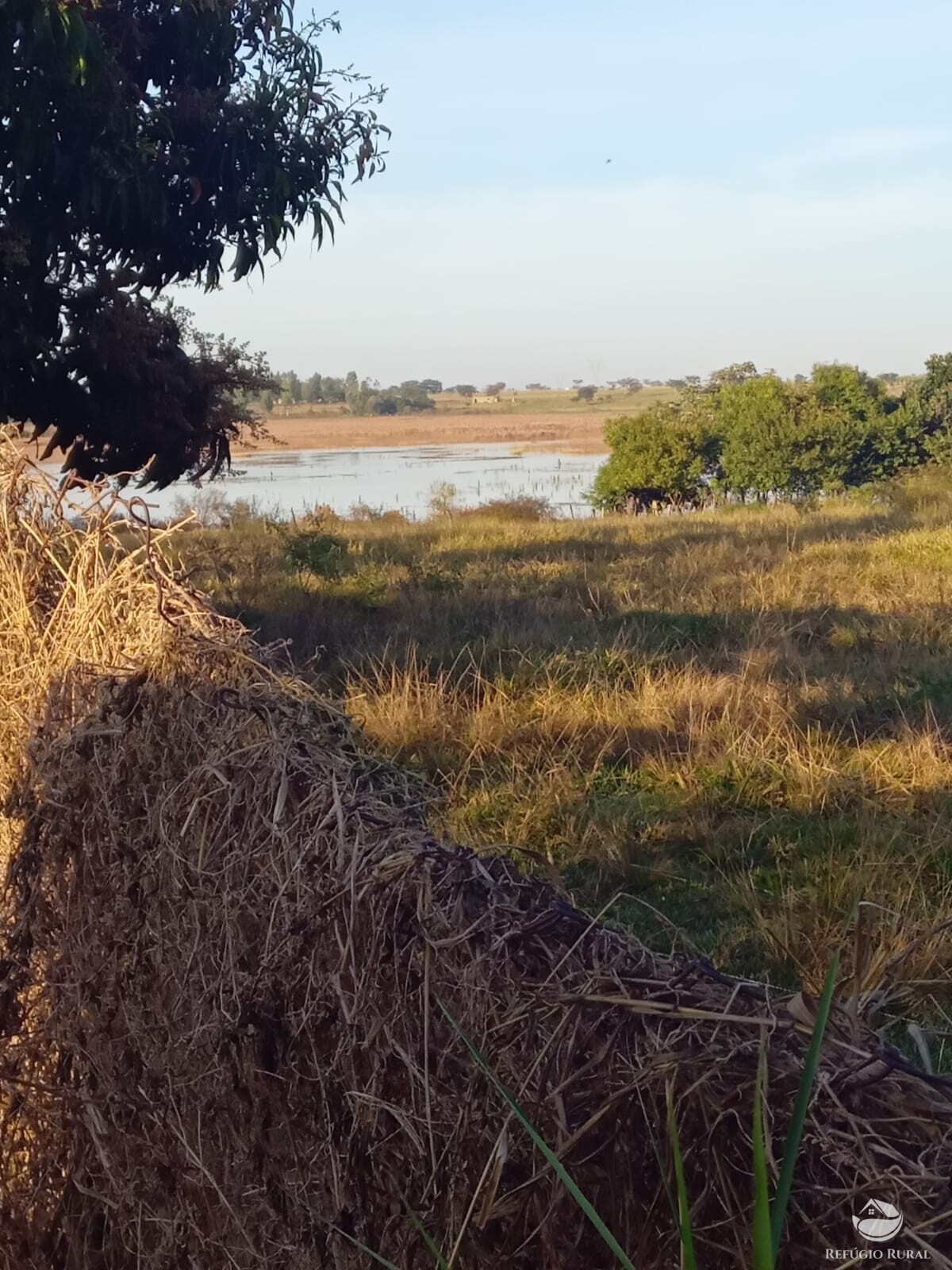 Fazenda à venda com 2 quartos, 3025m² - Foto 22