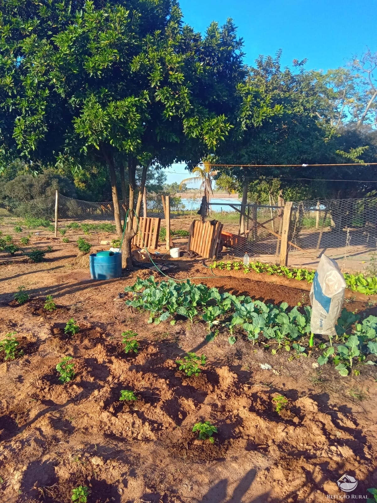 Fazenda à venda com 2 quartos, 3025m² - Foto 19