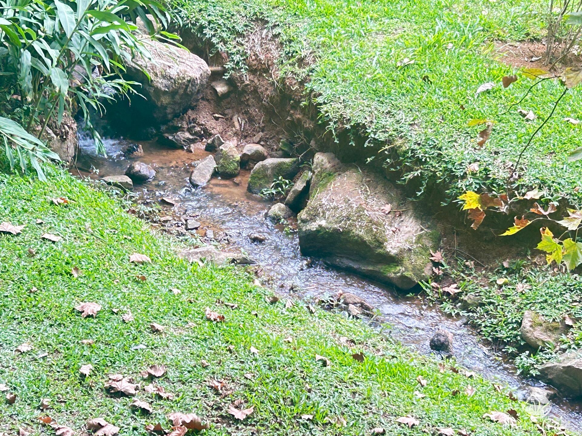 Sítio em São José dos Campos/São Paulo — Ref MIS40R — Imagem 25