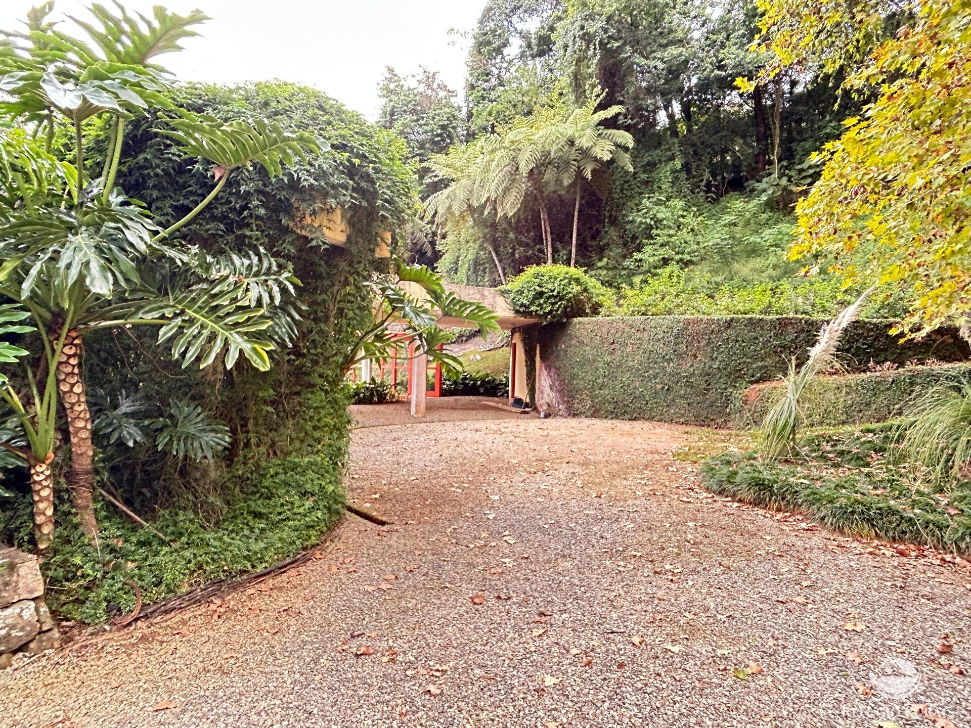 Sítio em São José dos Campos/São Paulo — Ref MIS40R — Imagem 36