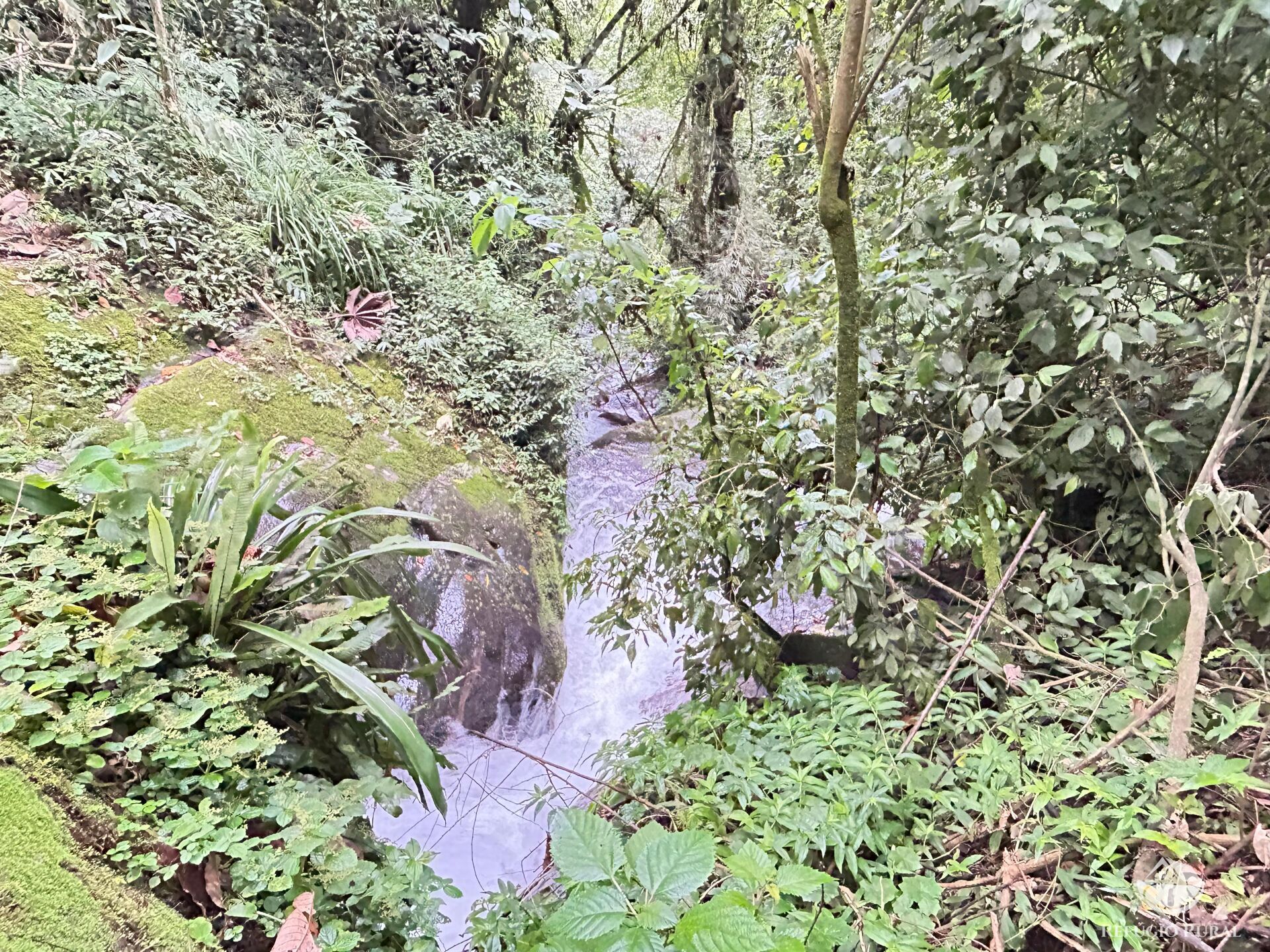 Sítio em São José dos Campos/São Paulo — Ref MIS40R — Imagem 20