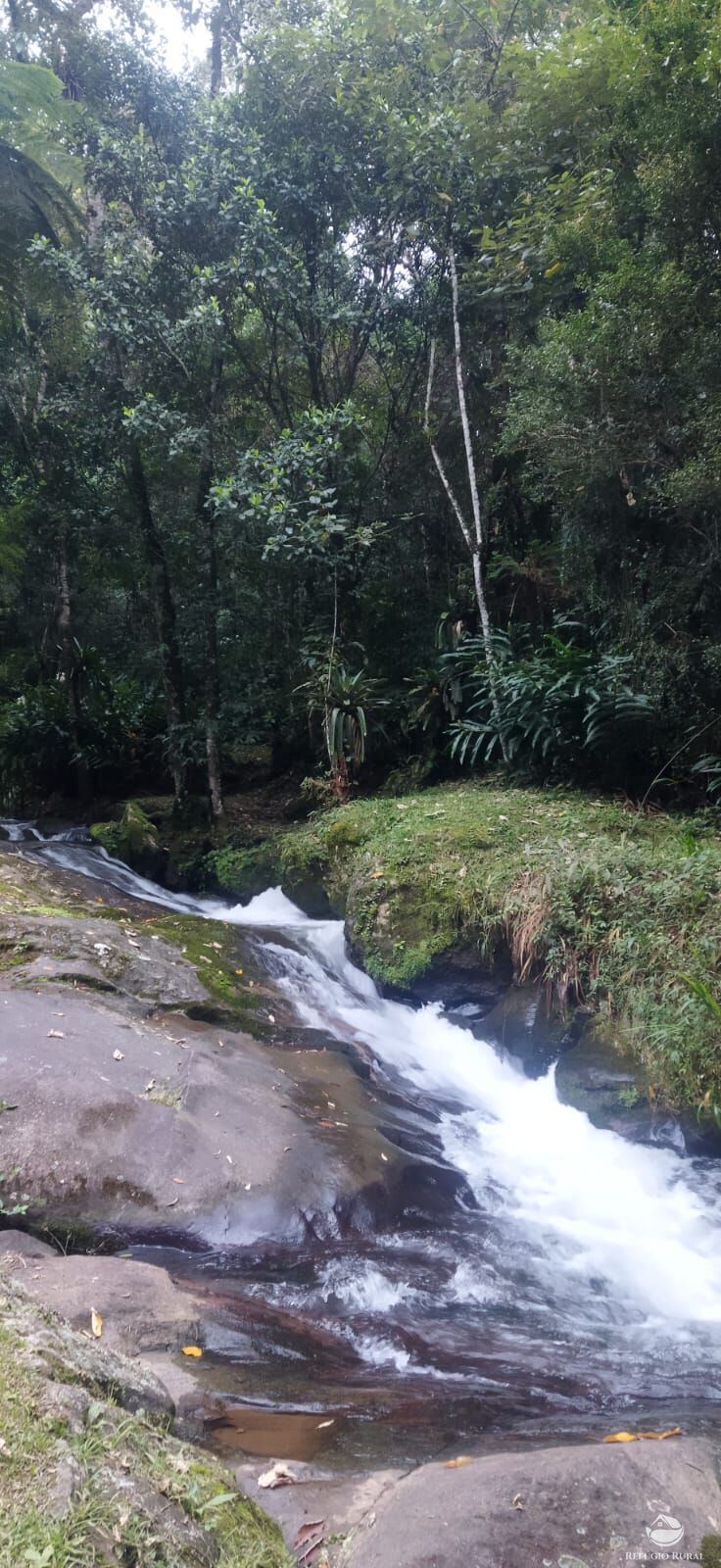 Sítio em São José dos Campos/São Paulo — Ref MIS40R — Imagem 32