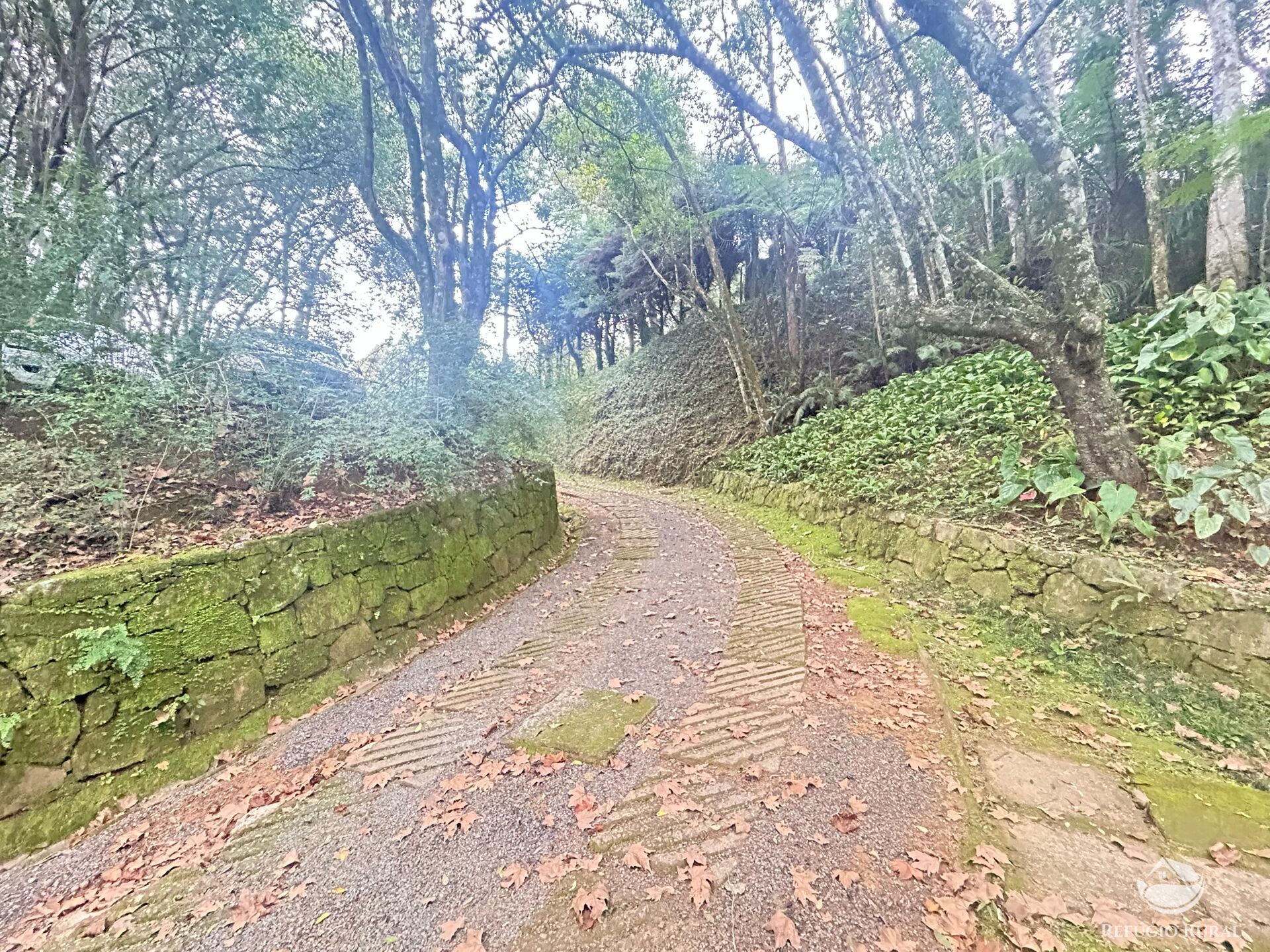 Sítio em São José dos Campos/São Paulo — Ref MIS40R — Imagem 26