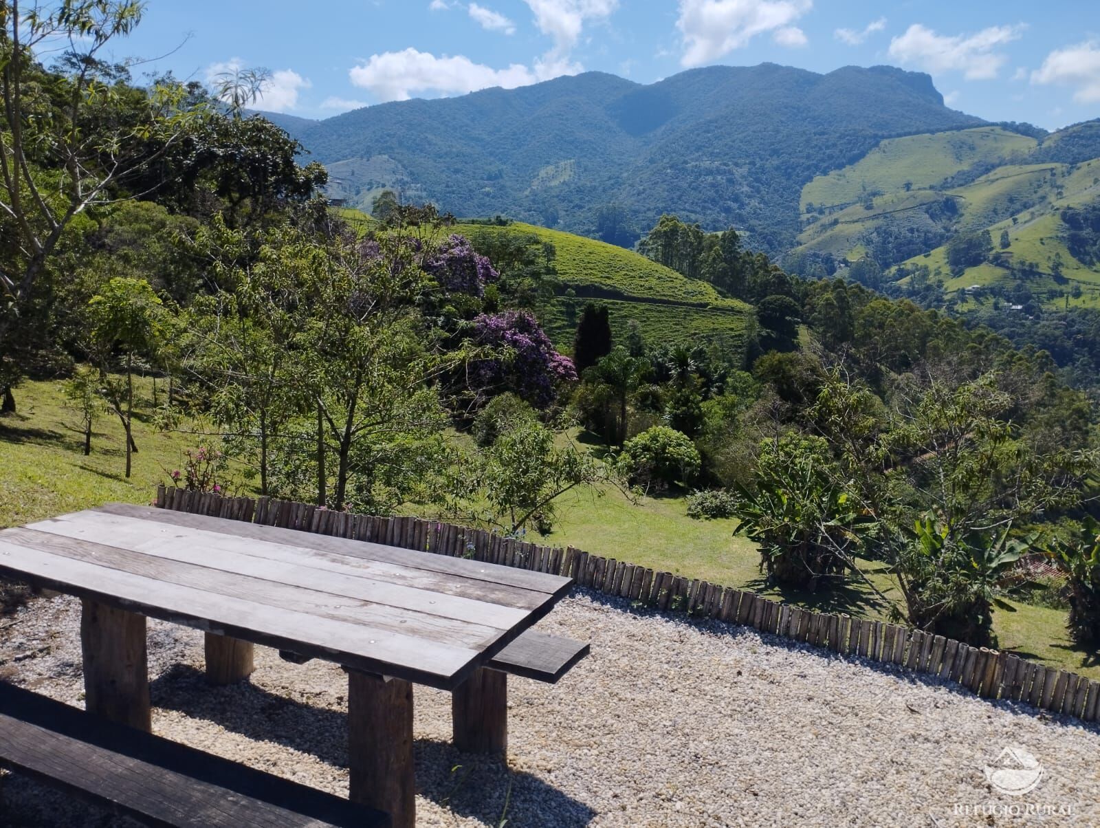 Fazenda à venda com 3 quartos, 12100m² - Foto 5