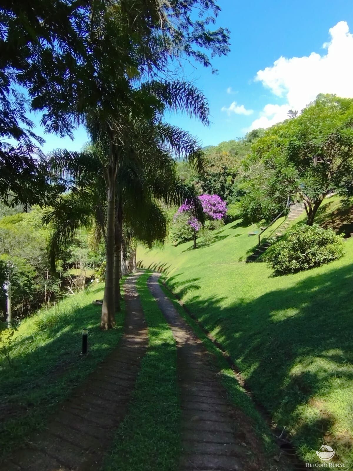 Fazenda à venda com 3 quartos, 12100m² - Foto 49