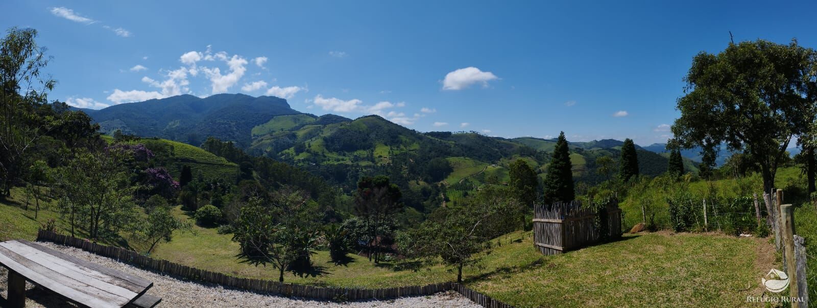 Fazenda à venda com 3 quartos, 12100m² - Foto 6