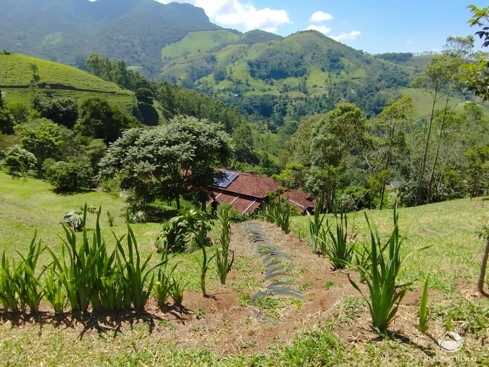 Fazenda à venda com 3 quartos, 12100m² - Foto 12