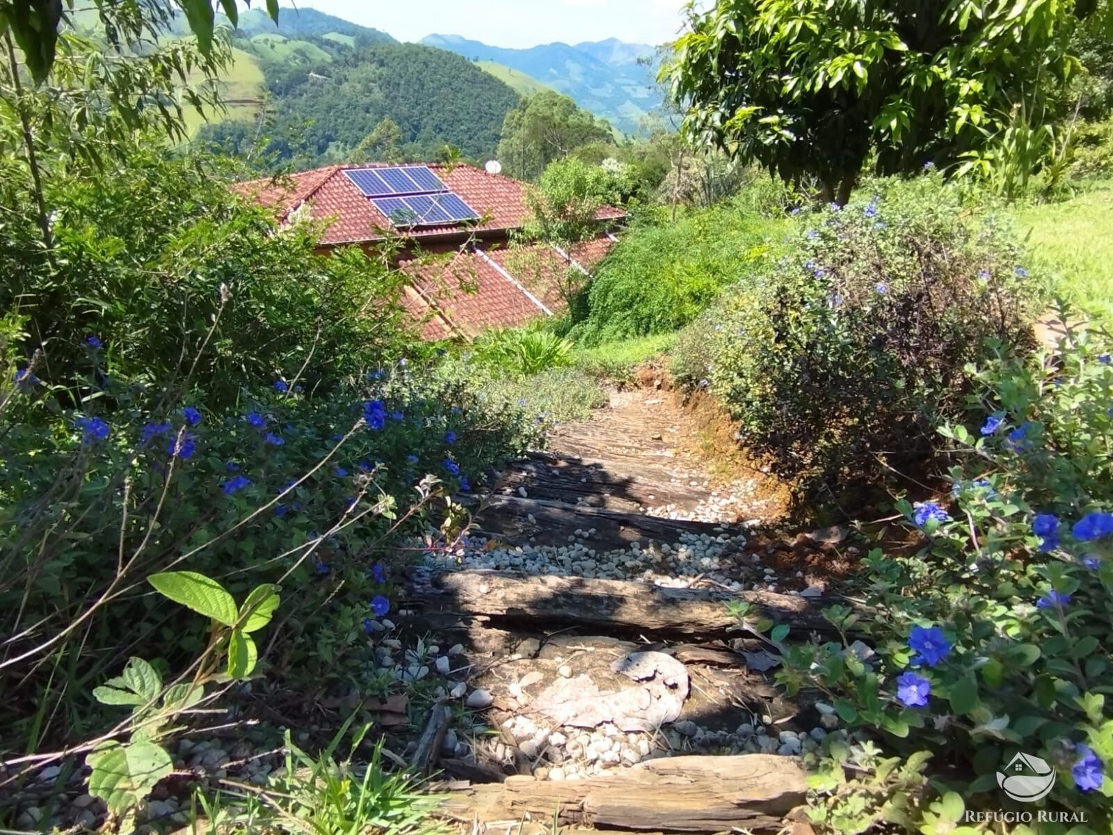 Fazenda à venda com 3 quartos, 12100m² - Foto 14