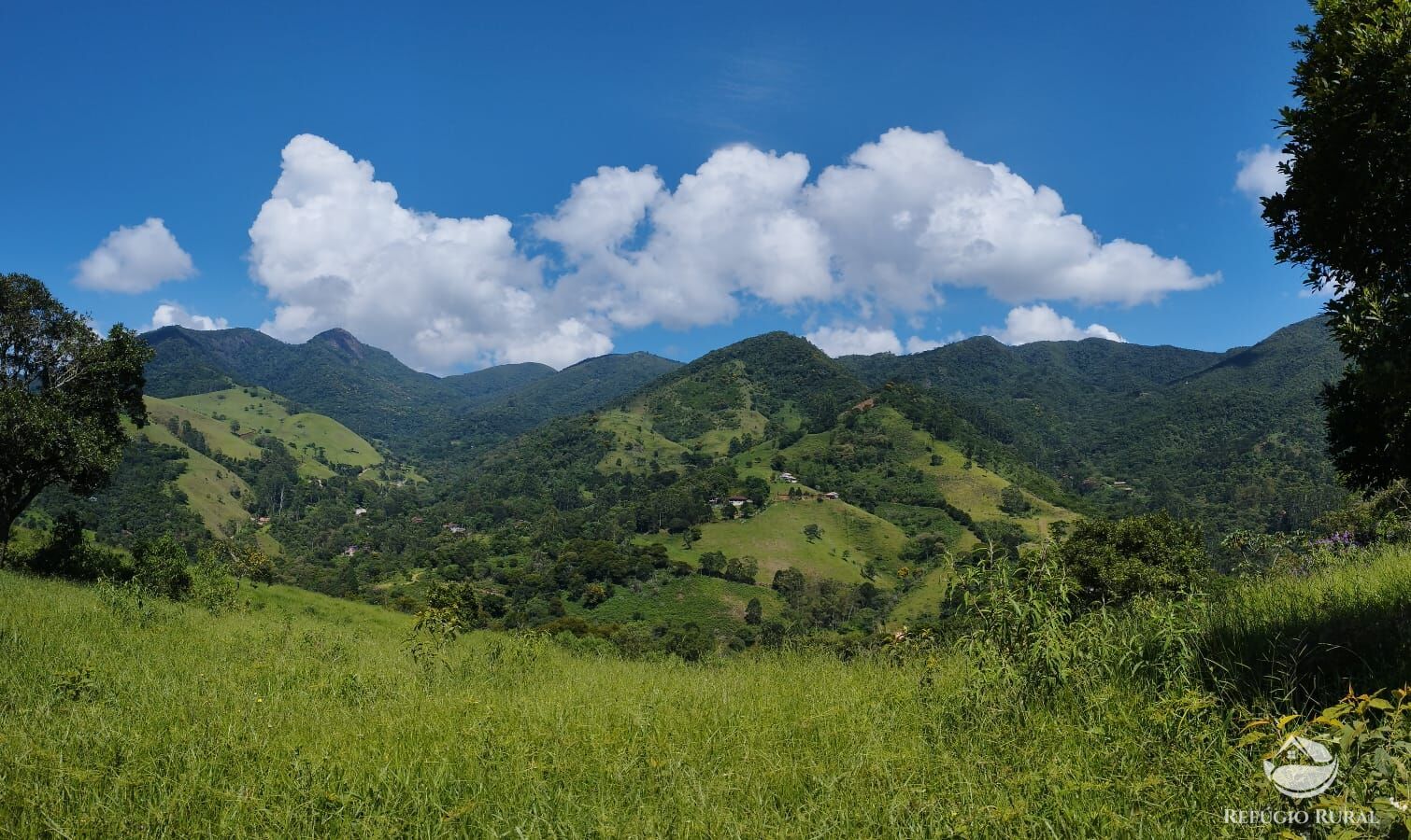 Fazenda à venda com 3 quartos, 12100m² - Foto 4