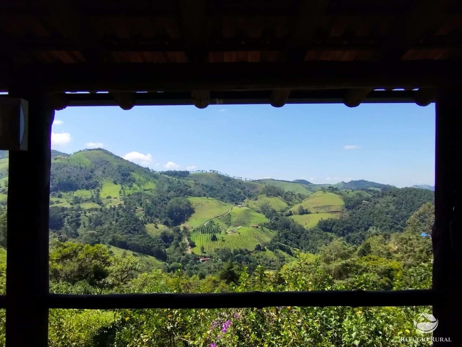 Fazenda à venda com 3 quartos, 12100m² - Foto 21