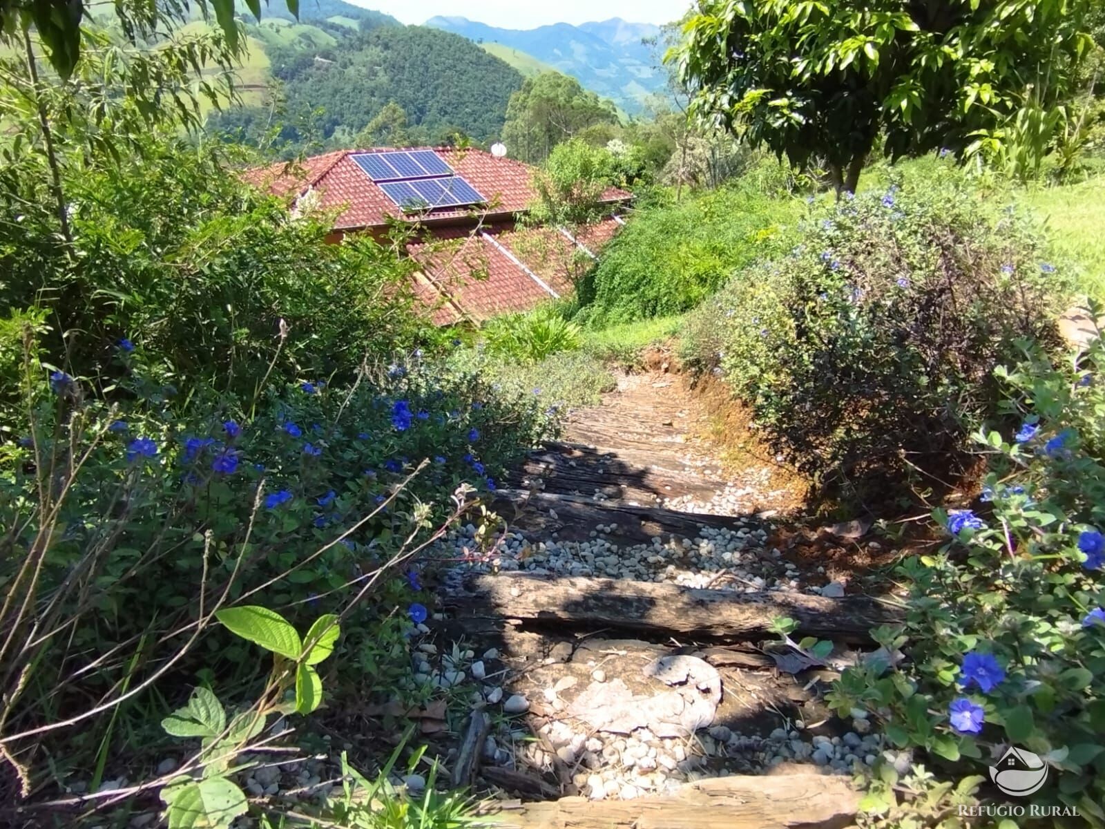 Fazenda à venda com 3 quartos, 12100m² - Foto 45