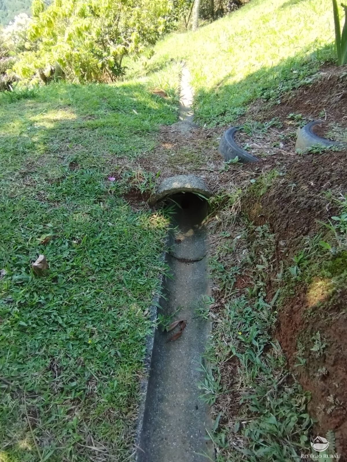 Fazenda à venda com 3 quartos, 12100m² - Foto 42