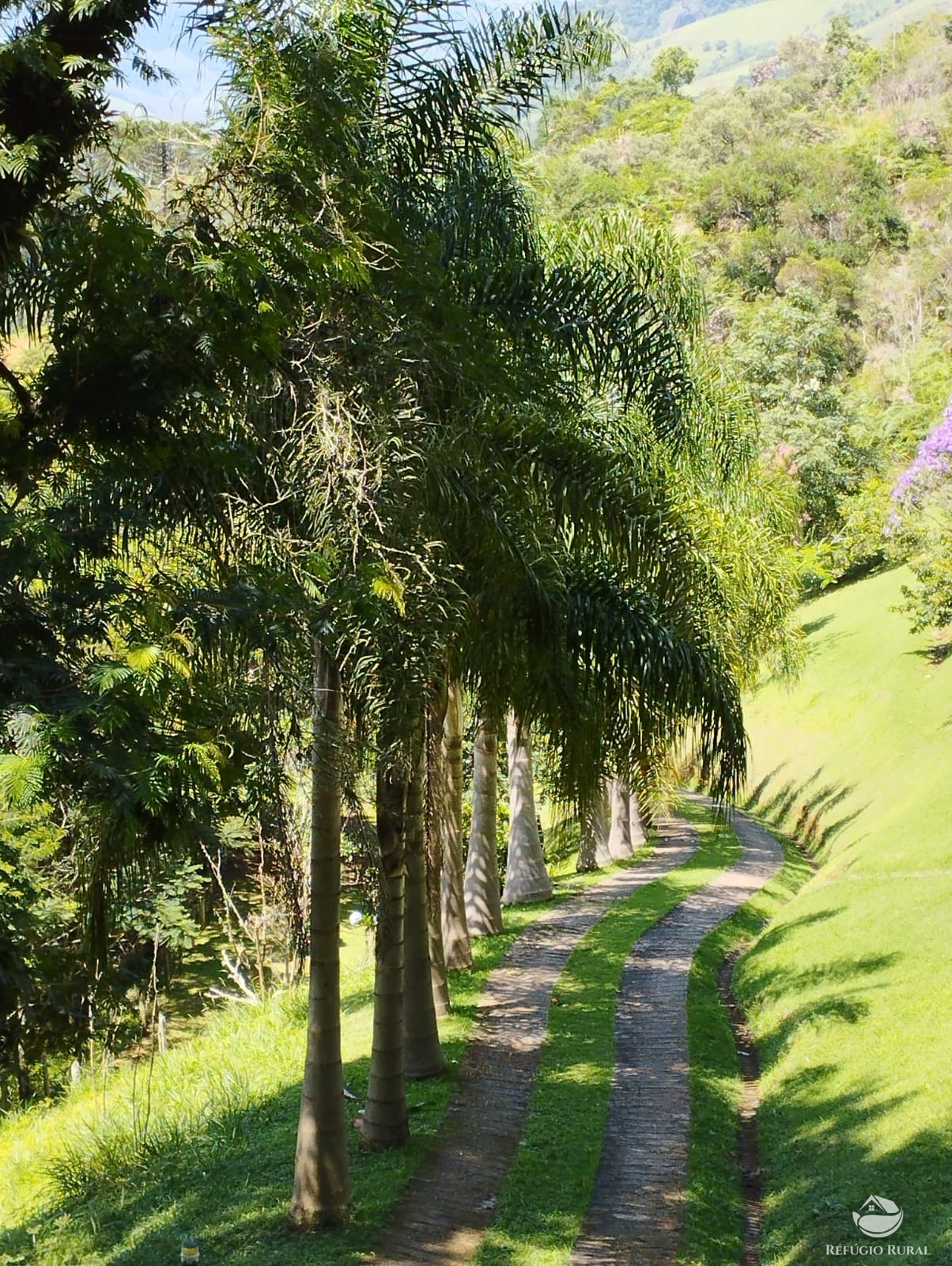 Fazenda à venda com 6 quartos, 24200m² - Foto 31