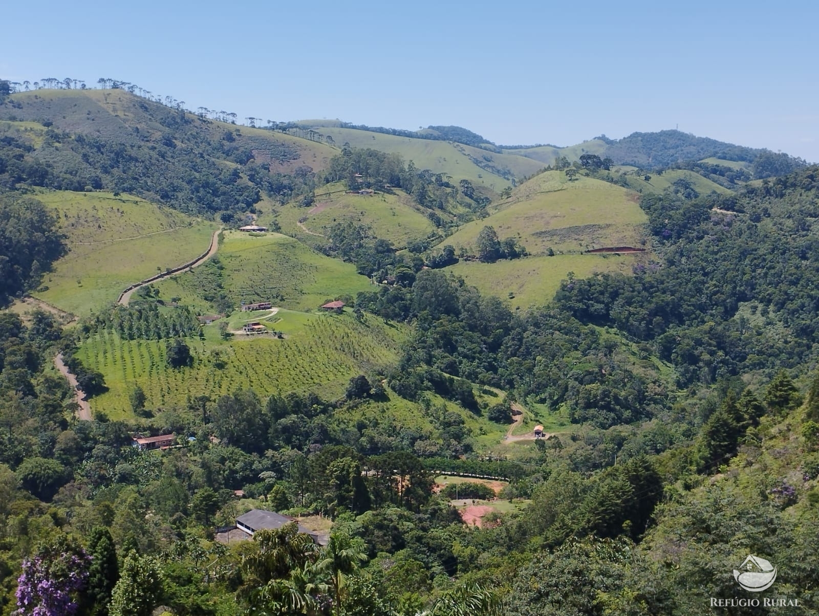 Fazenda à venda com 6 quartos, 24200m² - Foto 4