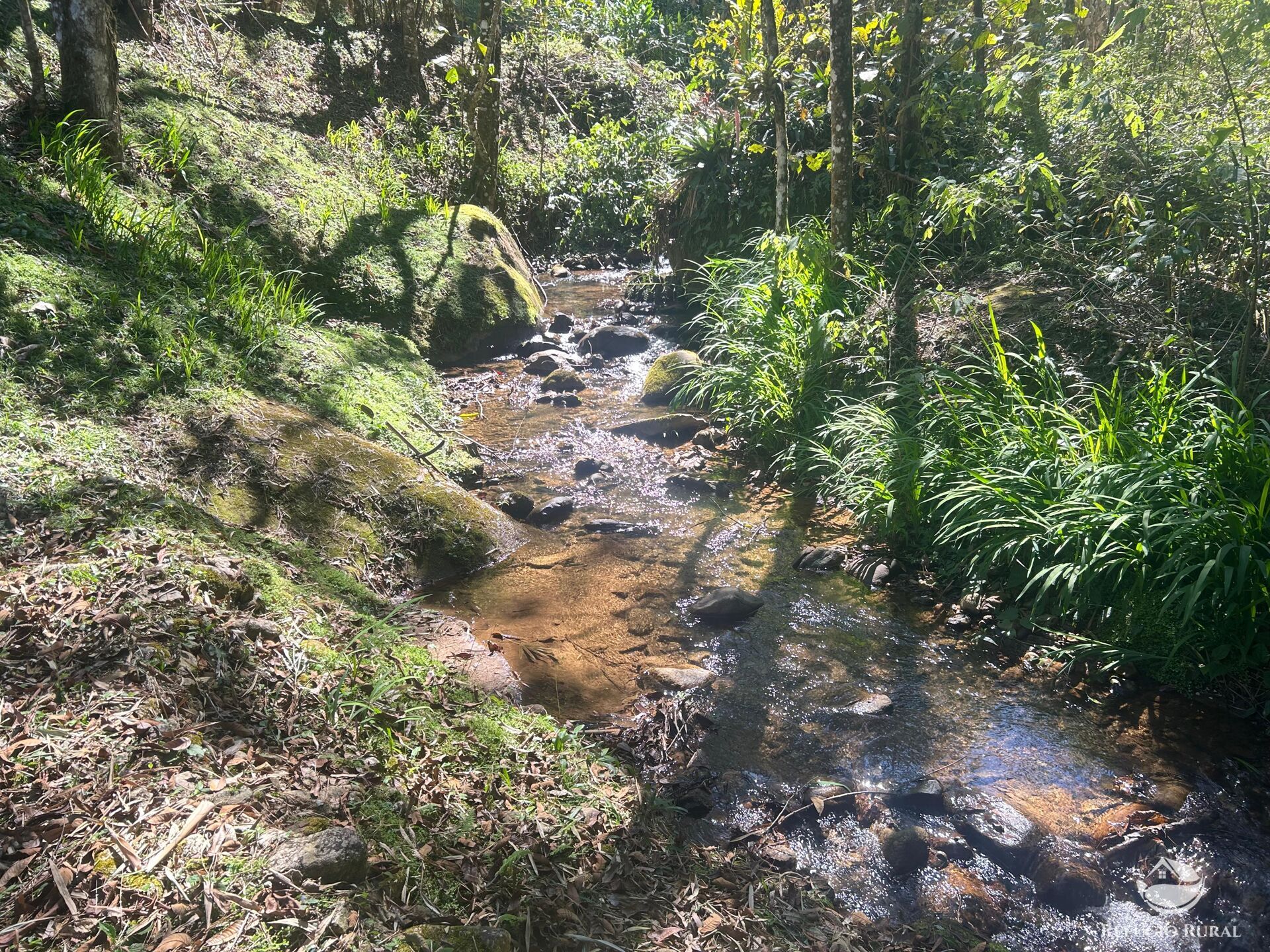 Sítio à venda com 9 quartos, 25000m² - Foto 28